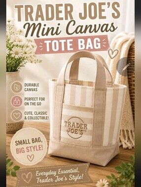 Trader Joe's Mini Canvas Tote Bag - Beige Stripe